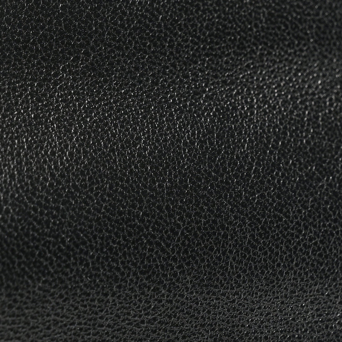 Lambskin Quilted Chanel 19 Wallet On Chain WOC Black wholesalehk.shop