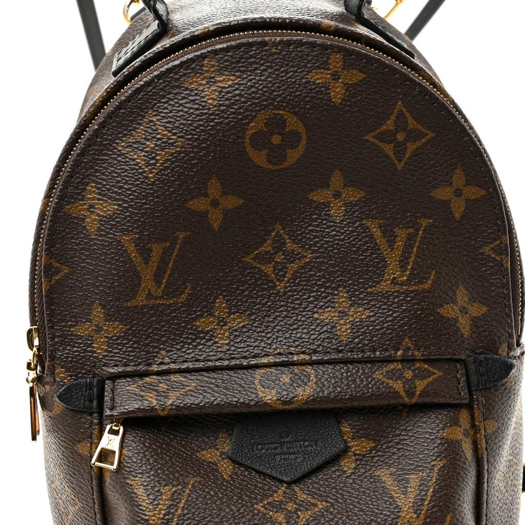 Monogram Palm Springs Backpack Mini £¨ Direct shipment via from wholesalehk.shop