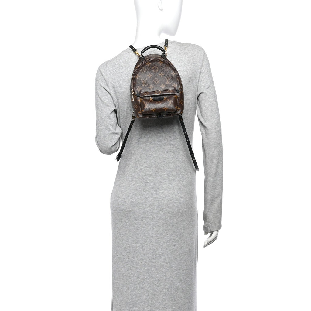 Monogram Palm Springs Backpack Mini £¨ Direct shipment via from wholesalehk.shop