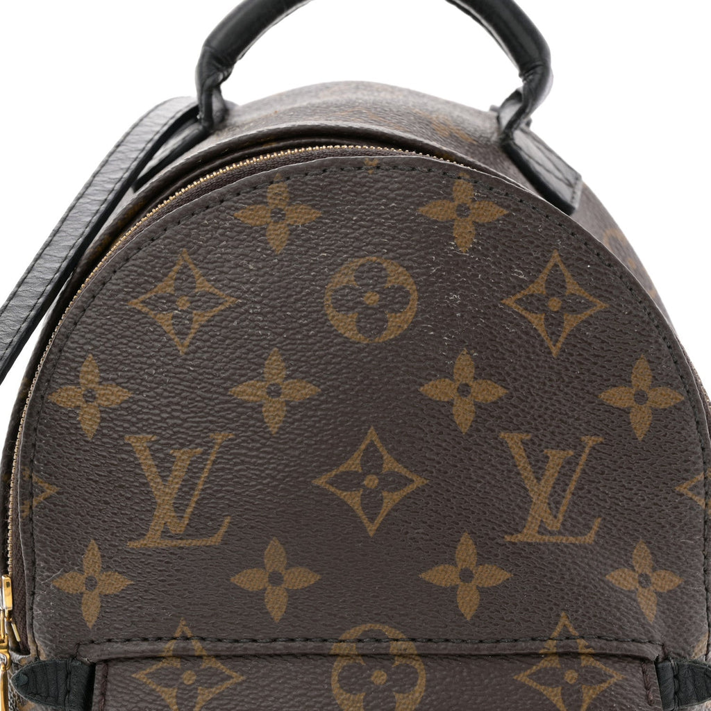 Monogram Palm Springs Backpack Mini £¨ Direct shipment via from wholesalehk.shop