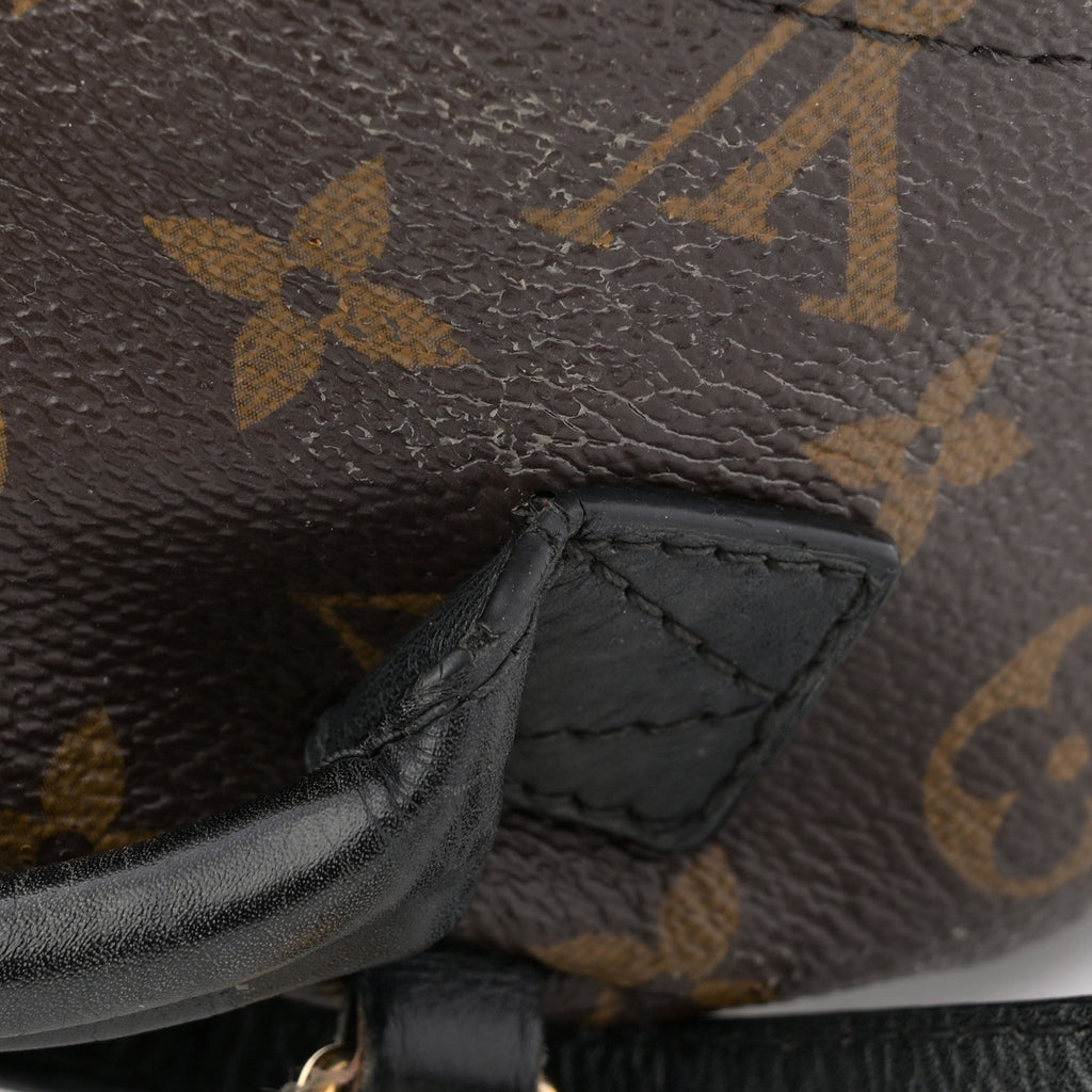 Monogram Palm Springs Backpack Mini £¨ Direct shipment via from wholesalehk.shop