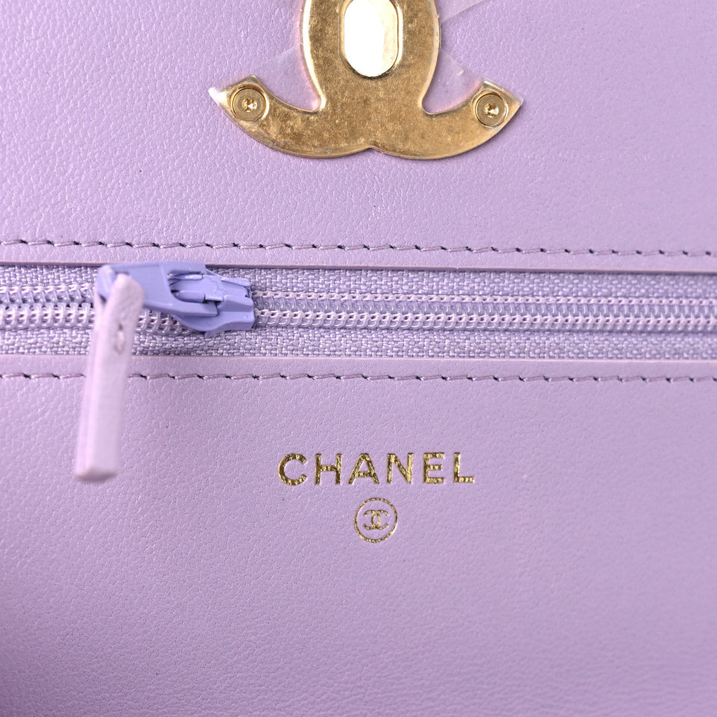 Lambskin Quilted Chanel 19 Wallet On Chain WOC Light Purple wholesalehk.shop