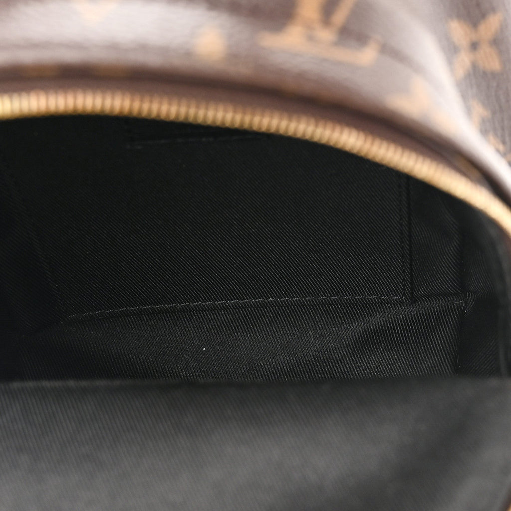 Monogram Palm Springs Backpack Mini £¨ Direct shipment via from wholesalehk.shop