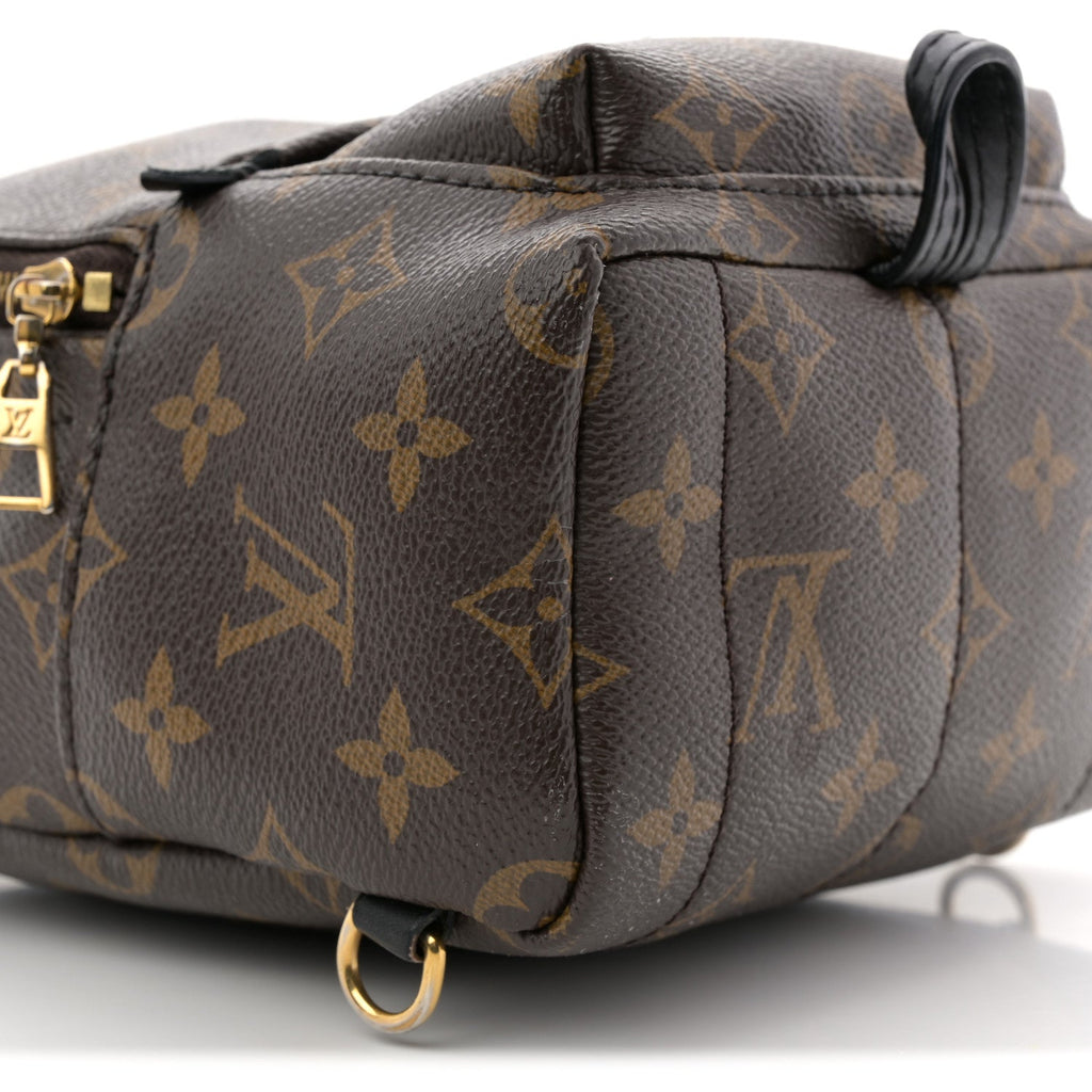 Monogram Palm Springs Backpack Mini £¨ Direct shipment via from wholesalehk.shop