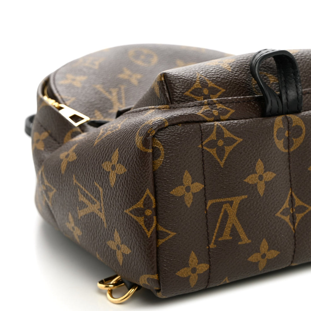 Monogram Palm Springs Backpack Mini £¨ Direct shipment via from wholesalehk.shop