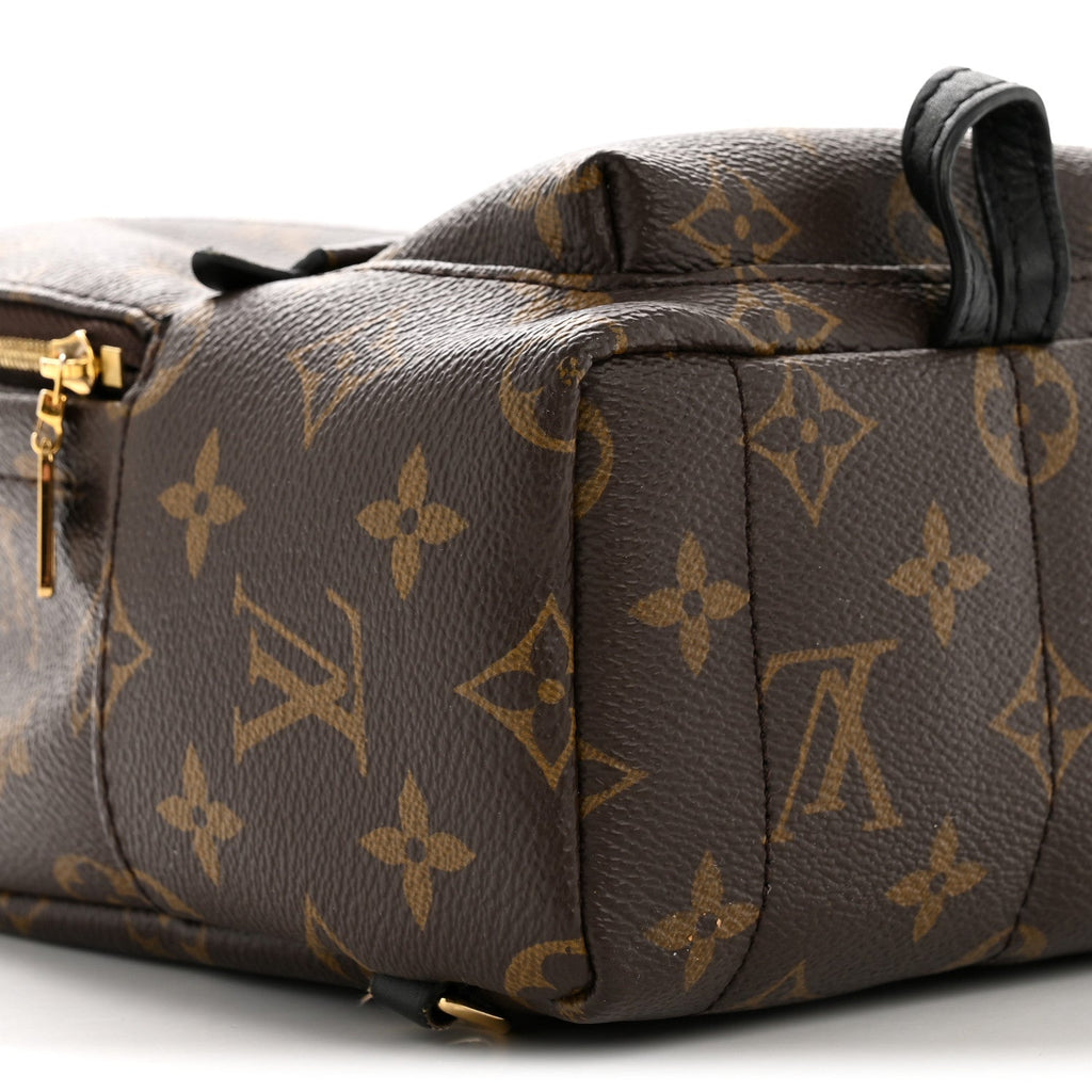 Monogram Palm Springs Backpack Mini £¨ Direct shipment via from wholesalehk.shop