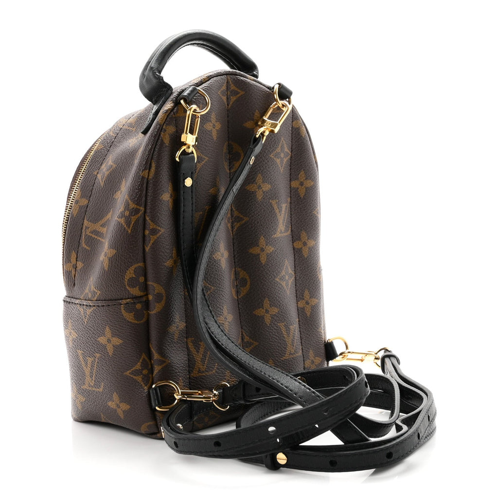 Monogram Palm Springs Backpack Mini £¨ Direct shipment via from wholesalehk.shop