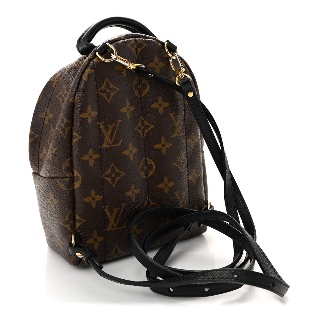 Monogram Palm Springs Backpack Mini £¨ Direct shipment via from wholesalehk.shop