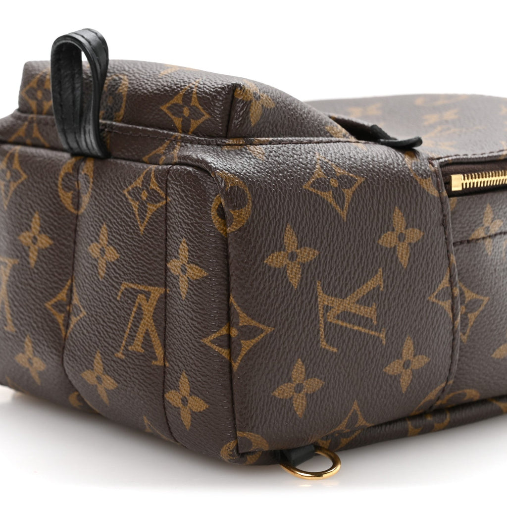 Monogram Palm Springs Backpack Mini £¨ Direct shipment via from wholesalehk.shop