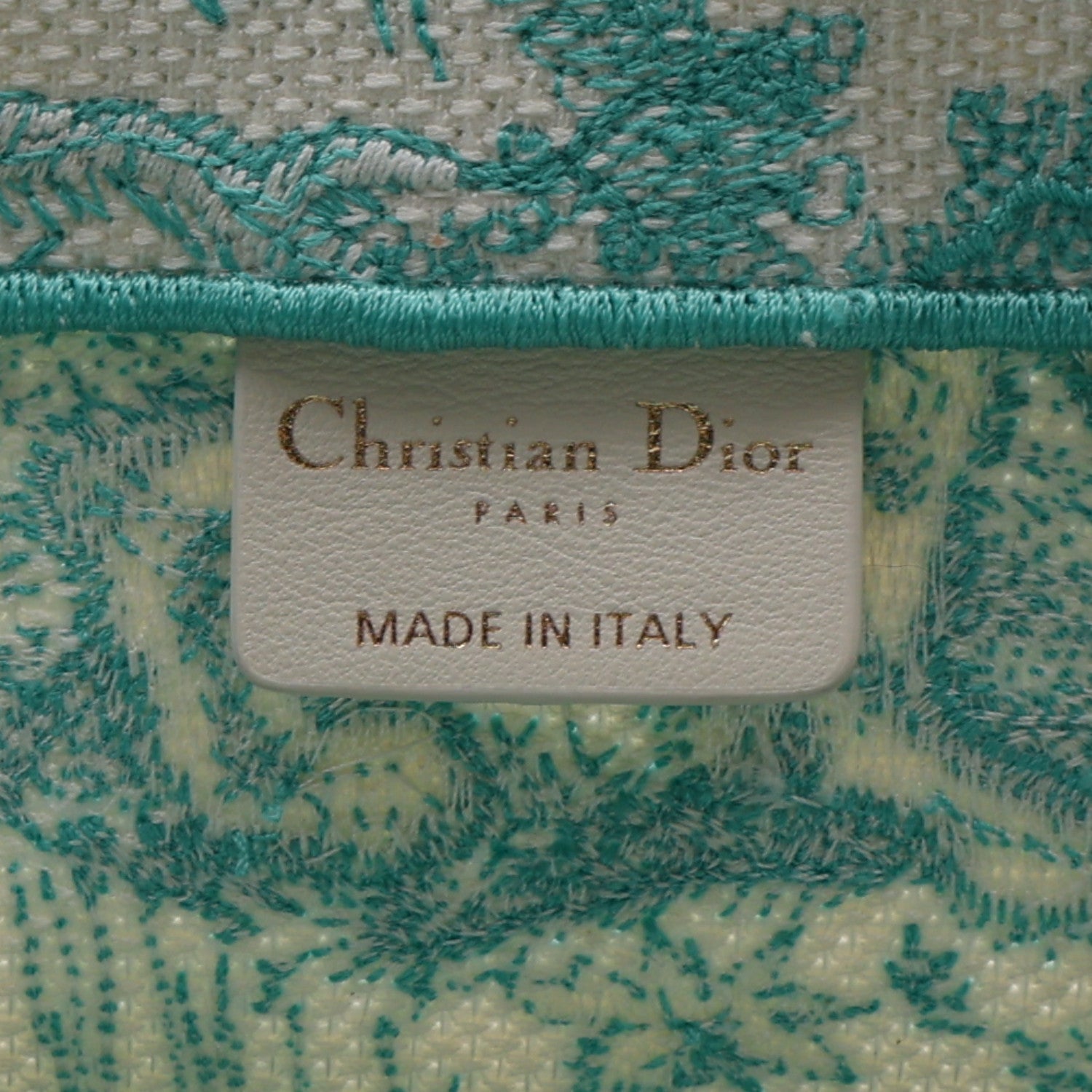 Canvas Embroidered Medium Dioriviera Toile De Jouy Book Tote Aquamarina £¨ Direct shipment via from wholesalehk.shop