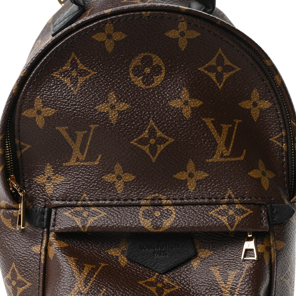 Monogram Palm Springs Backpack Mini £¨ Direct shipment via from wholesalehk.shop