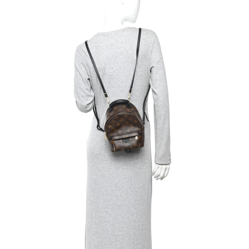 Monogram Palm Springs Backpack Mini £¨ Direct shipment via from wholesalehk.shop
