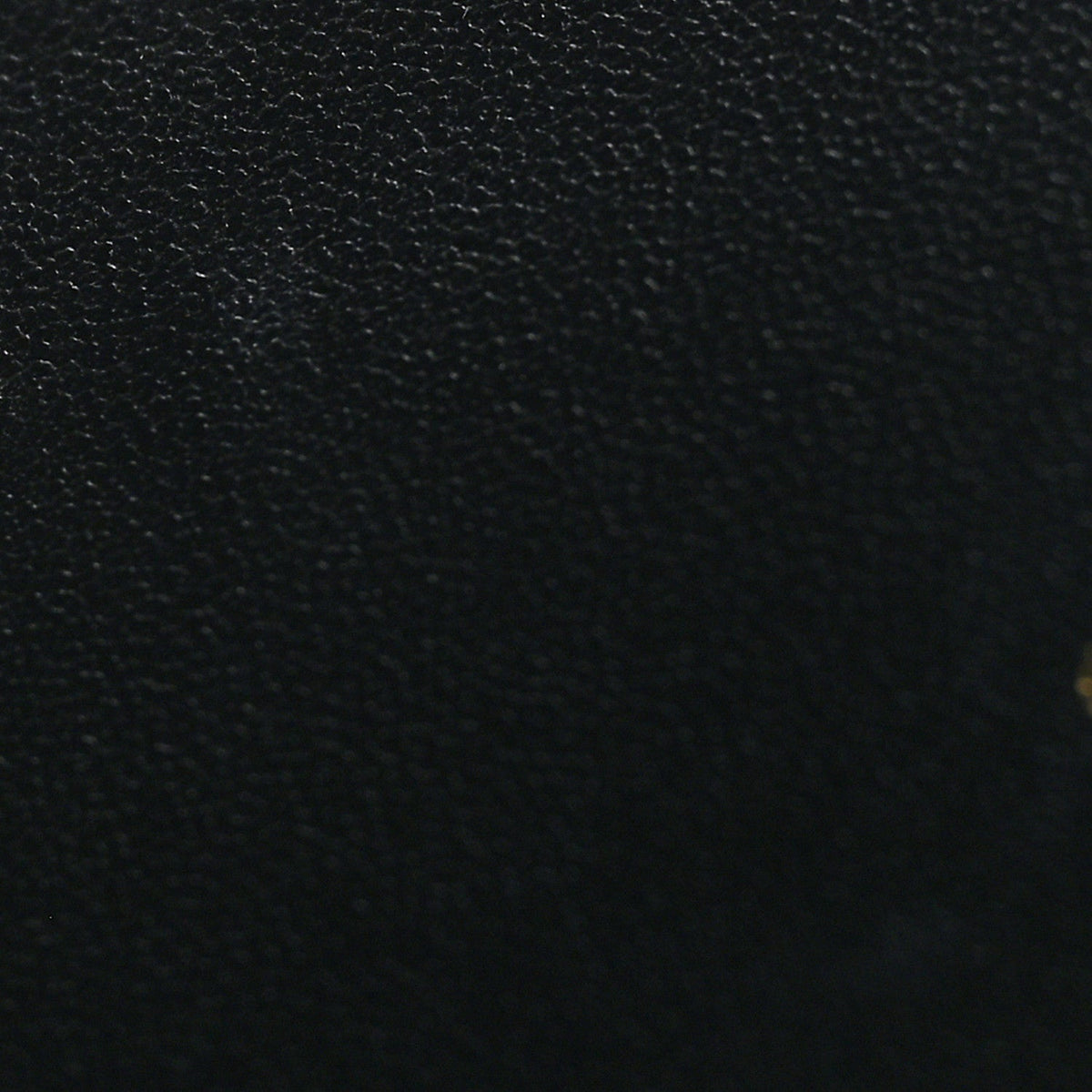 Supple Calfskin Cannage Caro Belt Pouch with Chain Black wholesalehk.shop