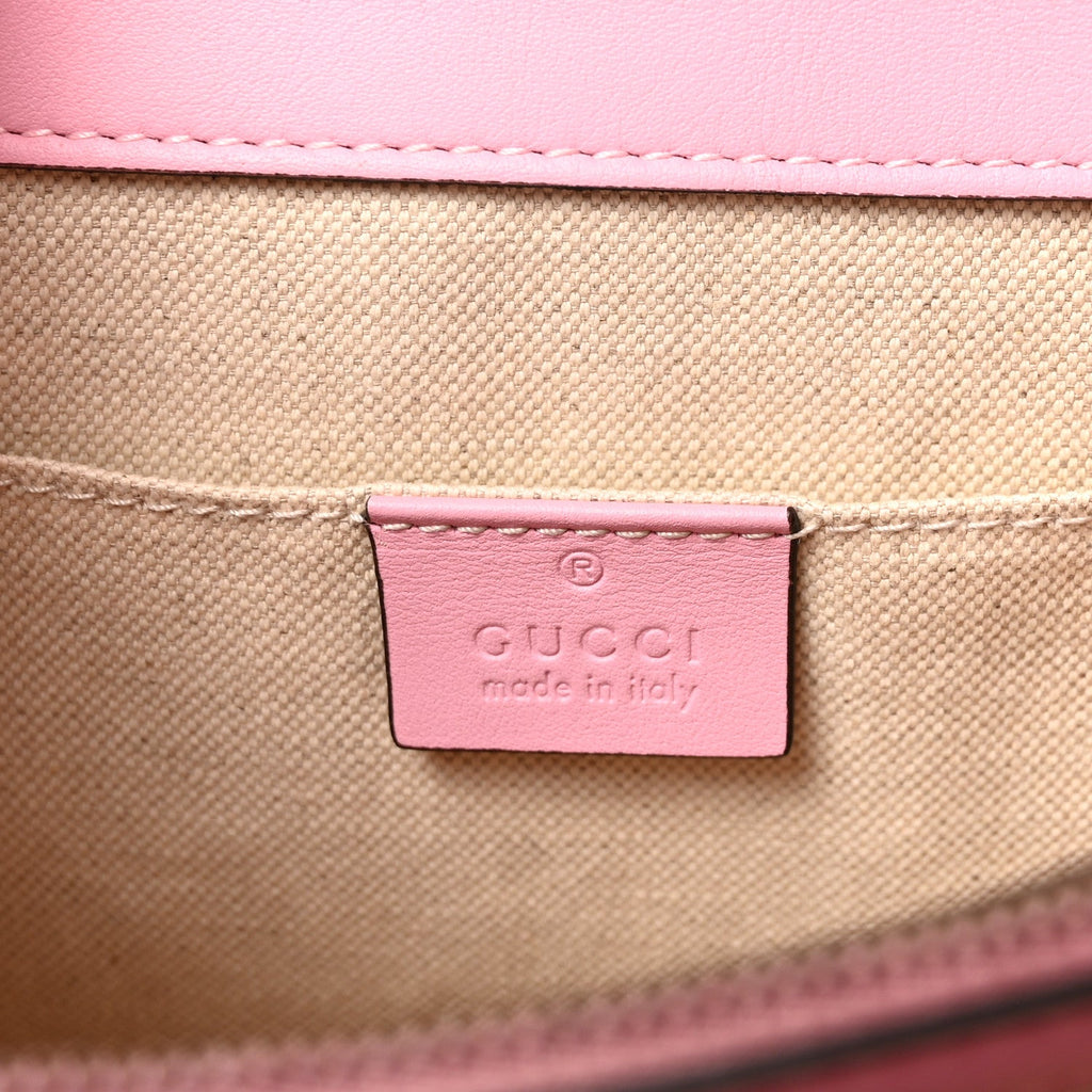 Moon Calfskin Web Medium Dionysus Bamboo Top Handle Bag Sugar Pink Blue Agata Hibiscus Red wholesalehk.shop