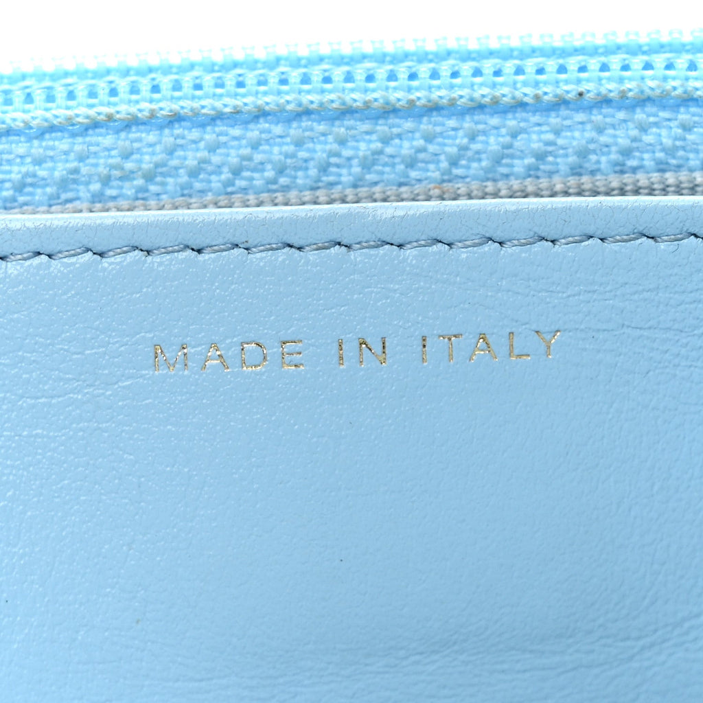Lambskin Quilted Chanel 19 Wallet On Chain WOC Light Blue wholesalehk.shop