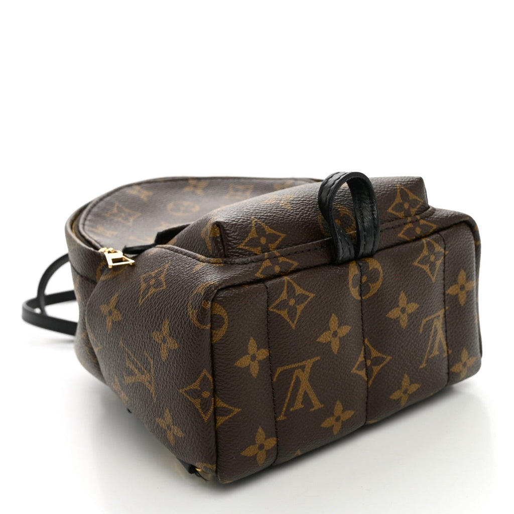 Monogram Palm Springs Backpack Mini £¨ Direct shipment via from wholesalehk.shop
