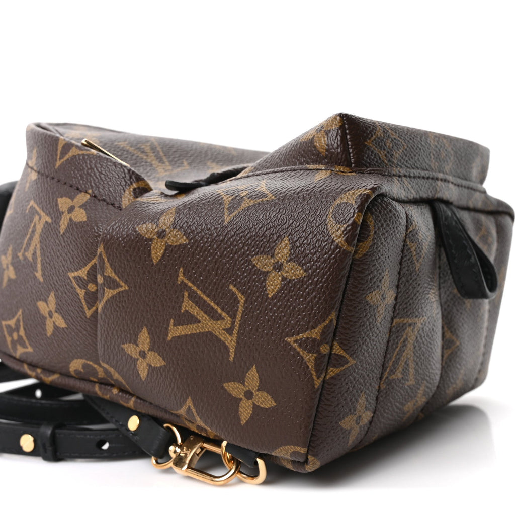 Monogram Palm Springs Backpack Mini £¨ Direct shipment via from wholesalehk.shop