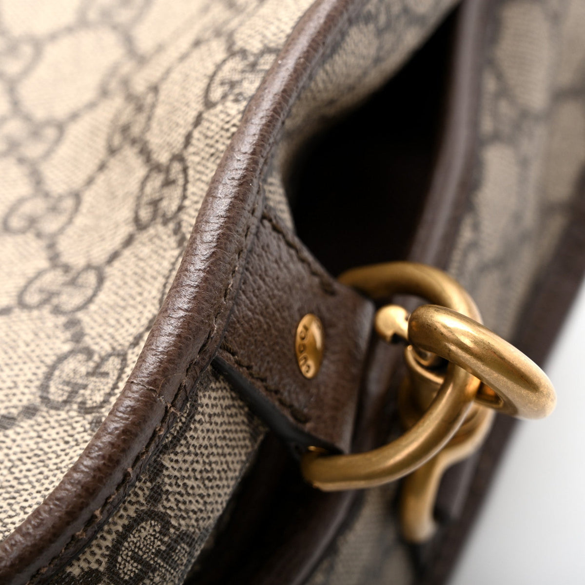 GG Supreme Monogram Textured Dollar Calfskin Web Ophidia Savoy Garment Bag Beige Ebony New Acero wholesalehk.shop