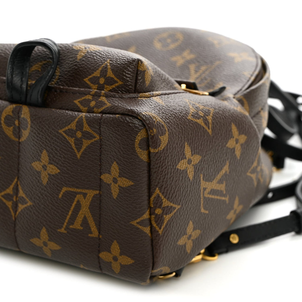 Monogram Palm Springs Backpack Mini £¨ Direct shipment via from wholesalehk.shop
