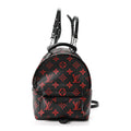Monogram Infrarouge Palm Springs Backpack Mini £¨ Direct shipment via from wholesalehk.shop