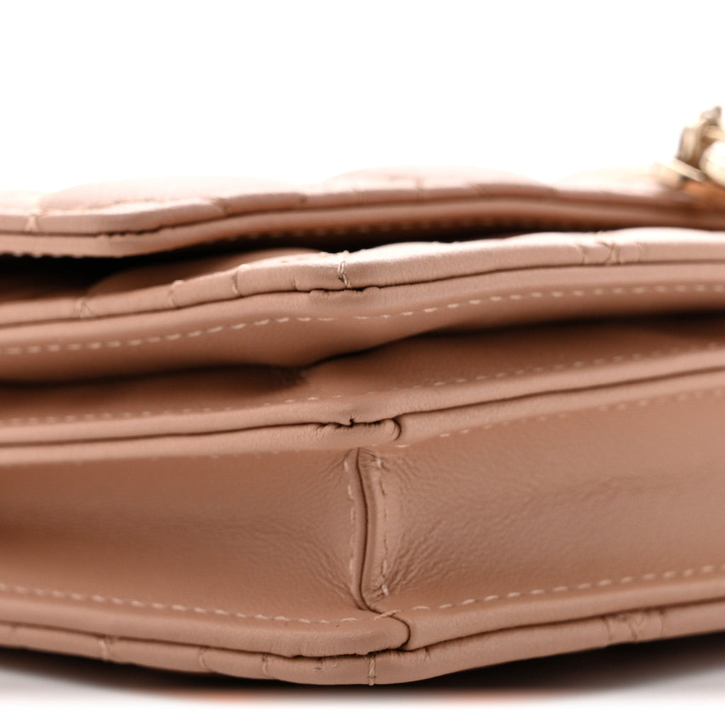 Lambskin Cannage Mini My Dior Bag Rose Des Vents wholesalehk.shop