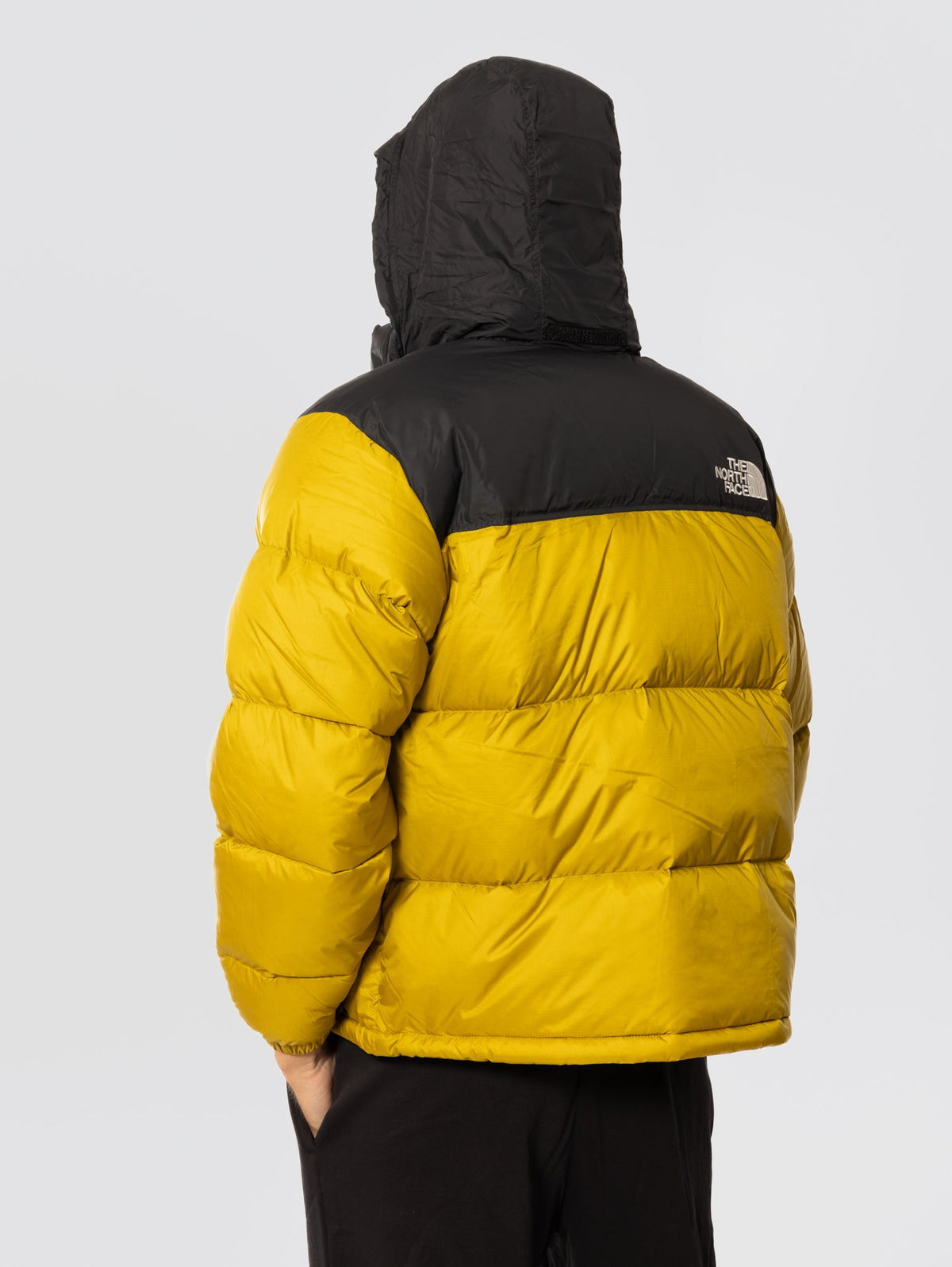 2026 New Arrival Giacca Retro Nuptse in Tessuto Ripstop Lucido Senape wholesalehk.shop
