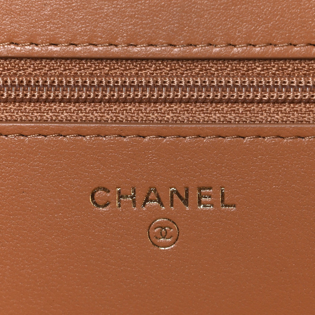 Lambskin Quilted Chanel 19 Wallet On Chain WOC Brown wholesalehk.shop