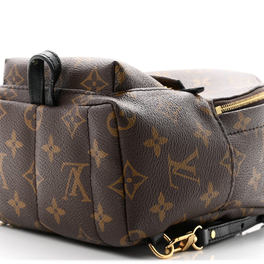 Monogram Palm Springs Backpack Mini £¨ Direct shipment via from wholesalehk.shop