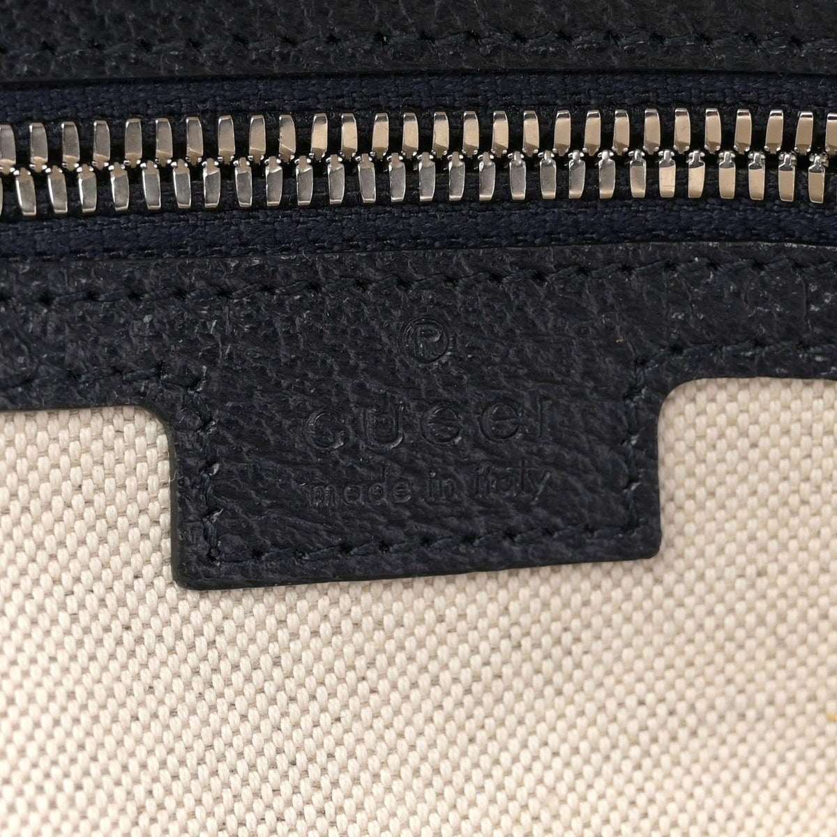 GG Supreme Monogram Textured Dollar Calfskin Web Small Ophidia Day Backpack Beige Blue Black wholesalehk.shop