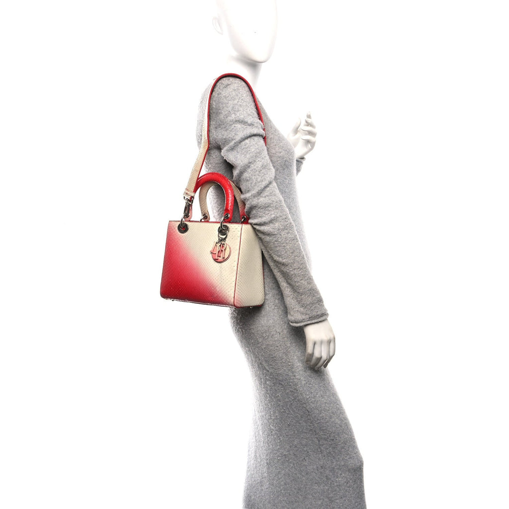 Snakeskin Ombre Medium Lady Dior Red White wholesalehk.shop