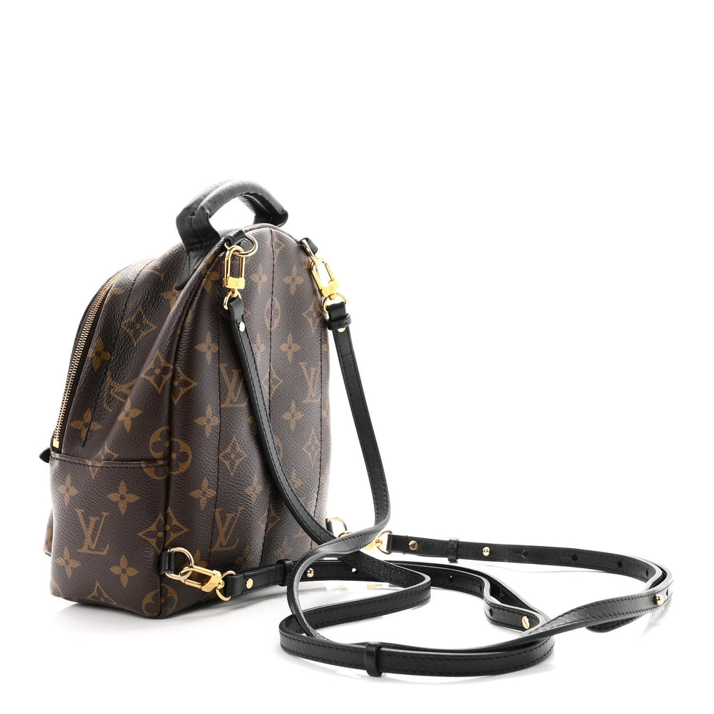 Monogram Palm Springs Backpack Mini £¨ Direct shipment via from wholesalehk.shop