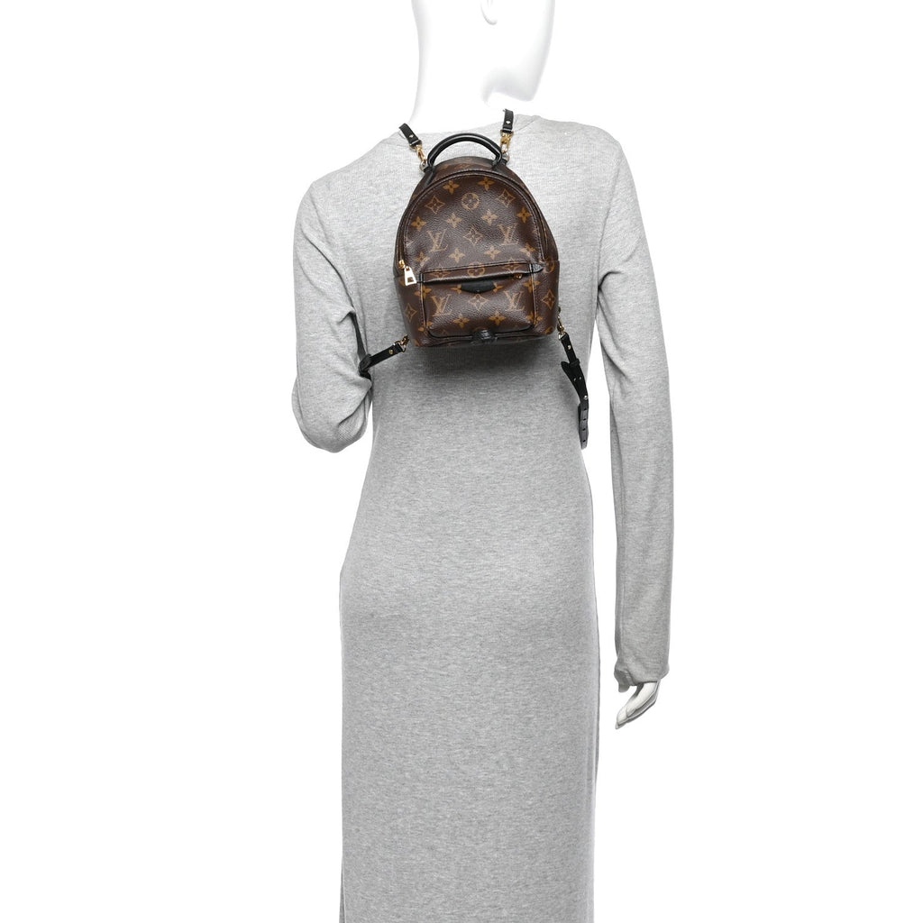 Monogram Palm Springs Backpack Mini £¨ Direct shipment via from wholesalehk.shop