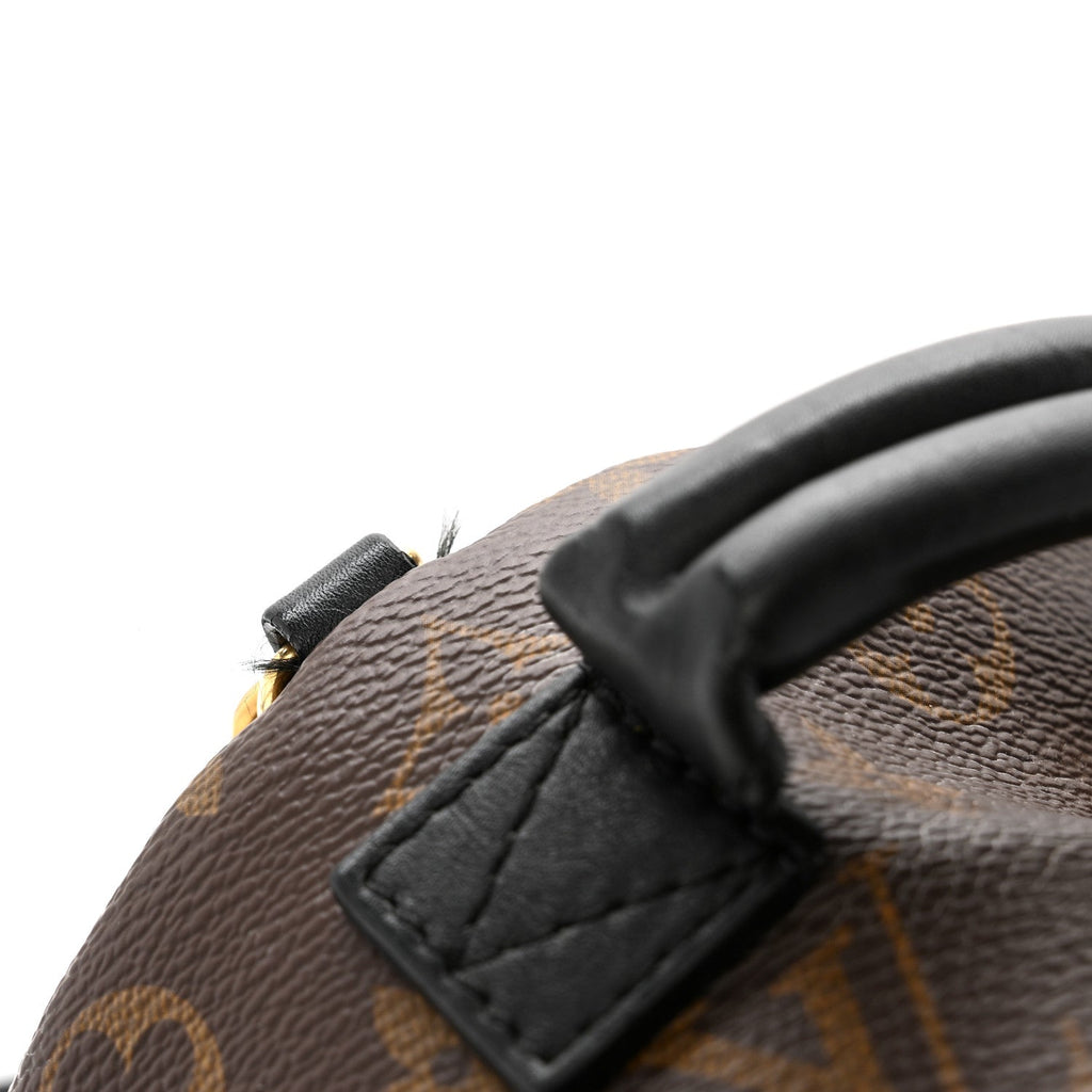 Monogram Palm Springs Backpack Mini £¨ Direct shipment via from wholesalehk.shop