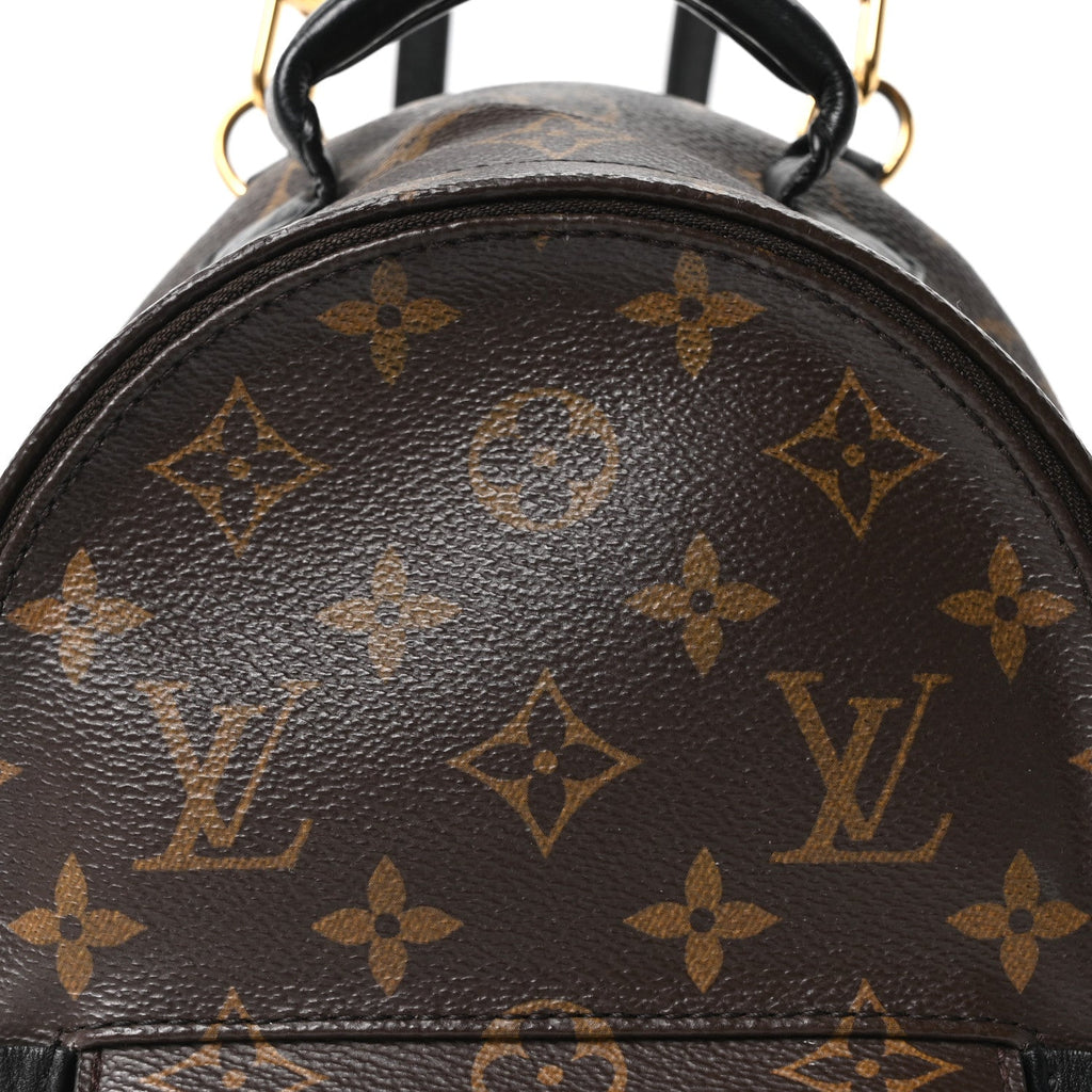 Monogram Palm Springs Backpack Mini £¨ Direct shipment via from wholesalehk.shop