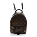 Monogram Palm Springs Backpack Mini £¨ Direct shipment via from wholesalehk.shop
