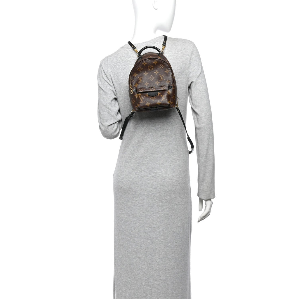 Monogram Palm Springs Backpack Mini £¨ Direct shipment via from wholesalehk.shop