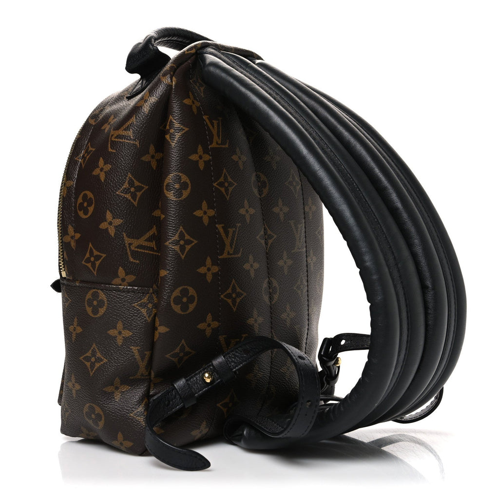 Monogram Palm Springs Backpack PM £¨ Direct shipment via from wholesalehk.shop