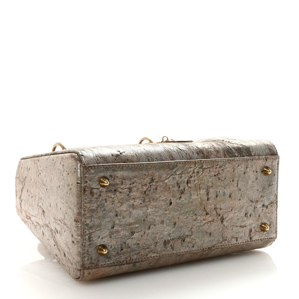 X LEE BUL Treated Calfskin Medium Lady Dior Art Bronze wholesalehk.shop