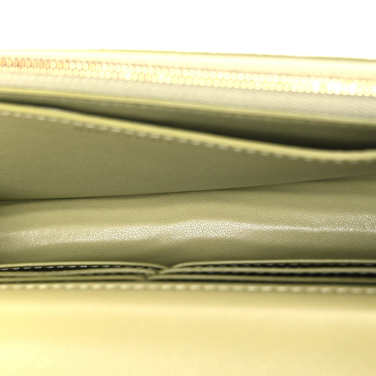 Shiny Lizard Wallet on Chain WOC Green wholesalehk.shop