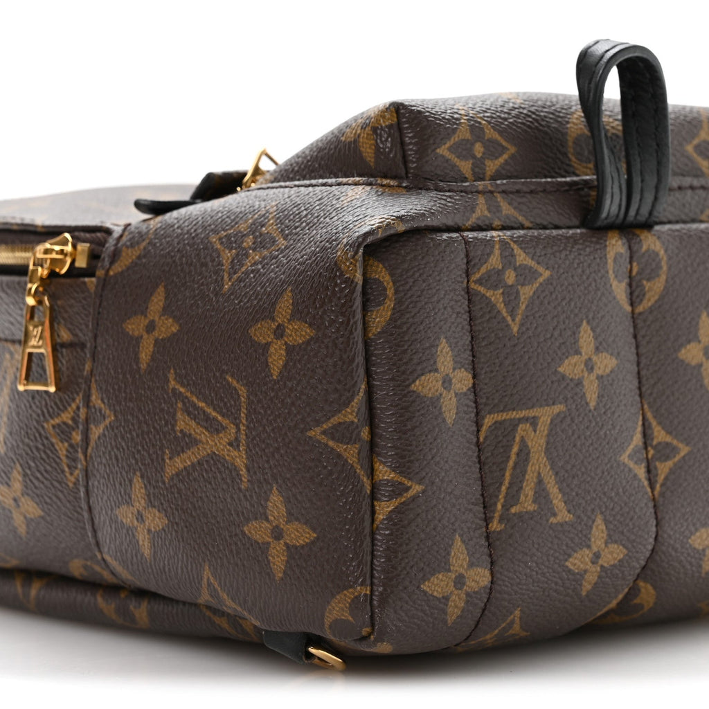 Monogram Palm Springs Backpack Mini £¨ Direct shipment via from wholesalehk.shop