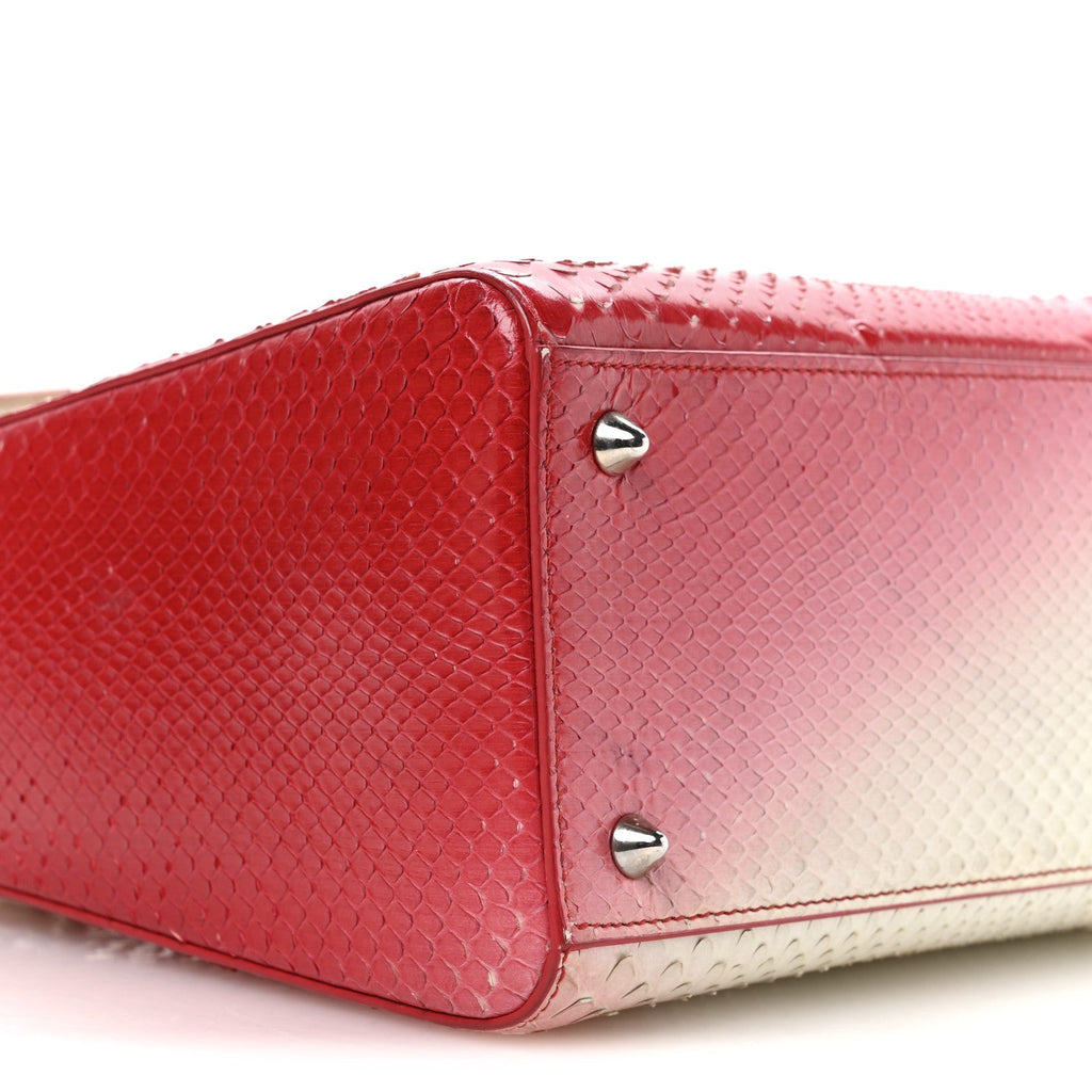 Snakeskin Ombre Medium Lady Dior Red White wholesalehk.shop