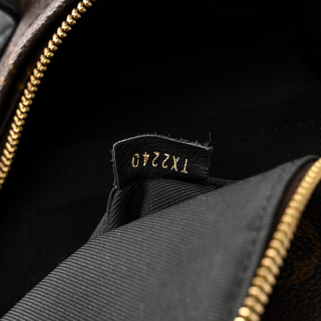 Reverse Monogram Palm Springs Backpack PM £¨ Direct shipment via from wholesalehk.shop