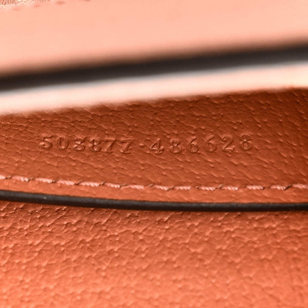 Monogram Textured Dollar Calfskin Small Ophidia Chain Shoulder Bag Cloche Rose Pink wholesalehk.shop