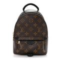 Monogram Palm Springs Backpack Mini £¨ Direct shipment via from wholesalehk.shop