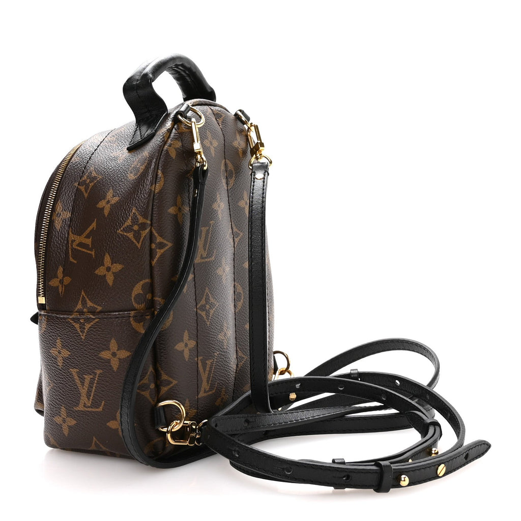 Monogram Palm Springs Backpack Mini £¨ Direct shipment via from wholesalehk.shop