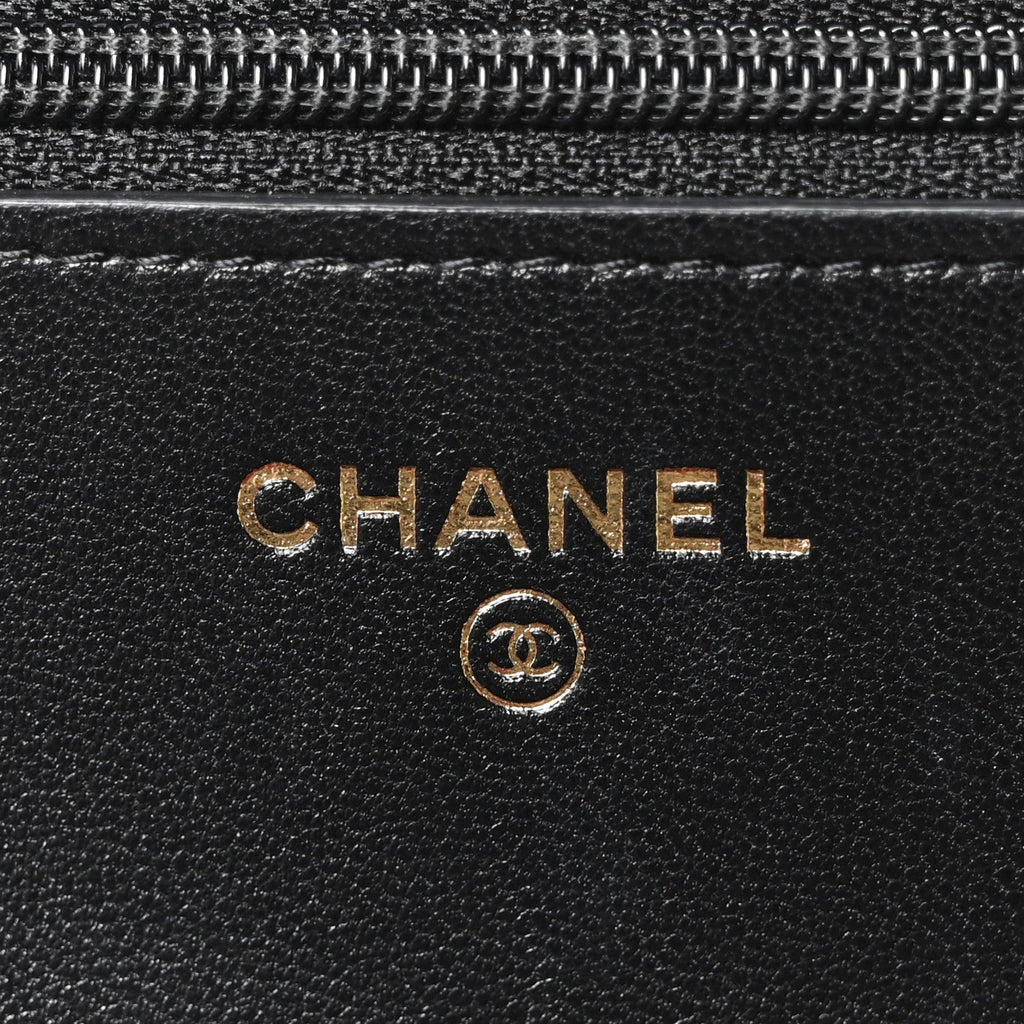 Lambskin Quilted Chanel 19 Wallet On Chain WOC Black wholesalehk.shop