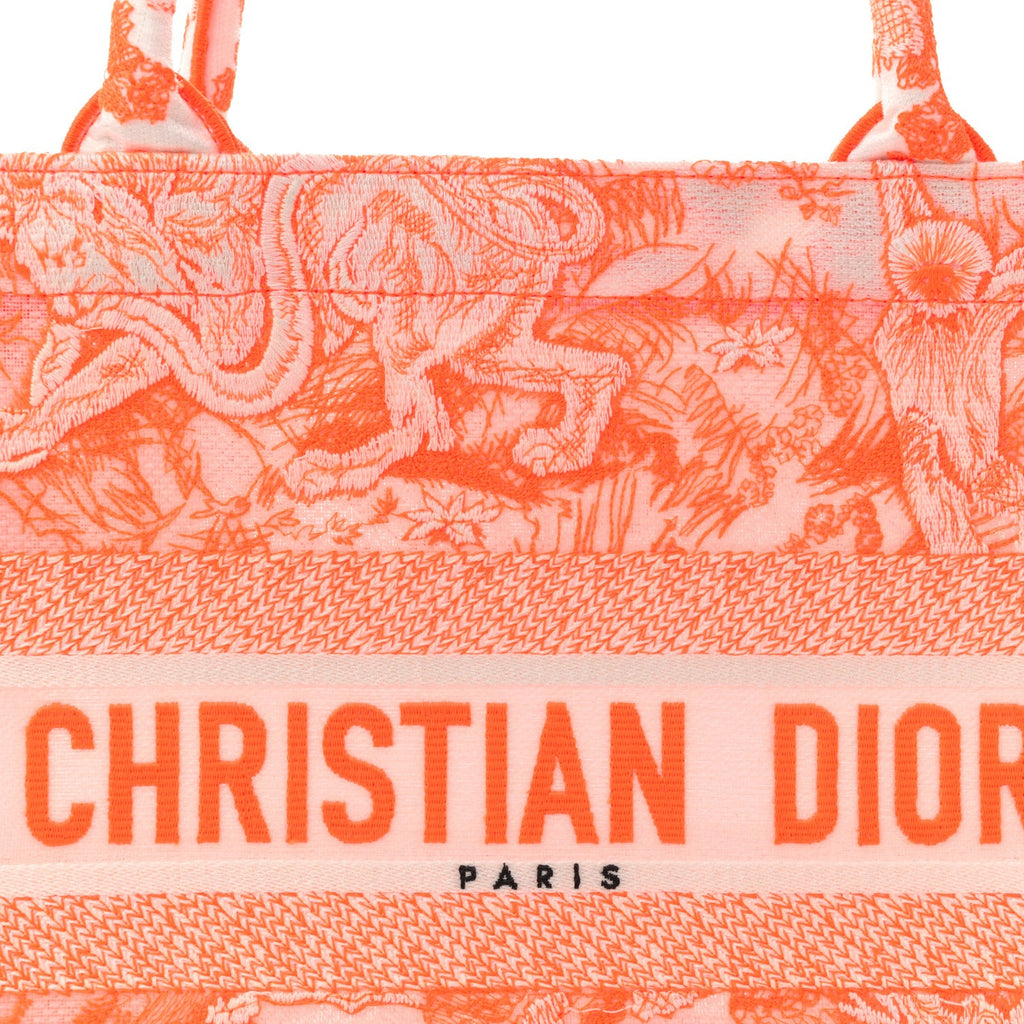 Transparent Canvas Embroidered Medium Dioriviera Toile De Jouy Book Tote £¨ Direct shipment via from wholesalehk.shop