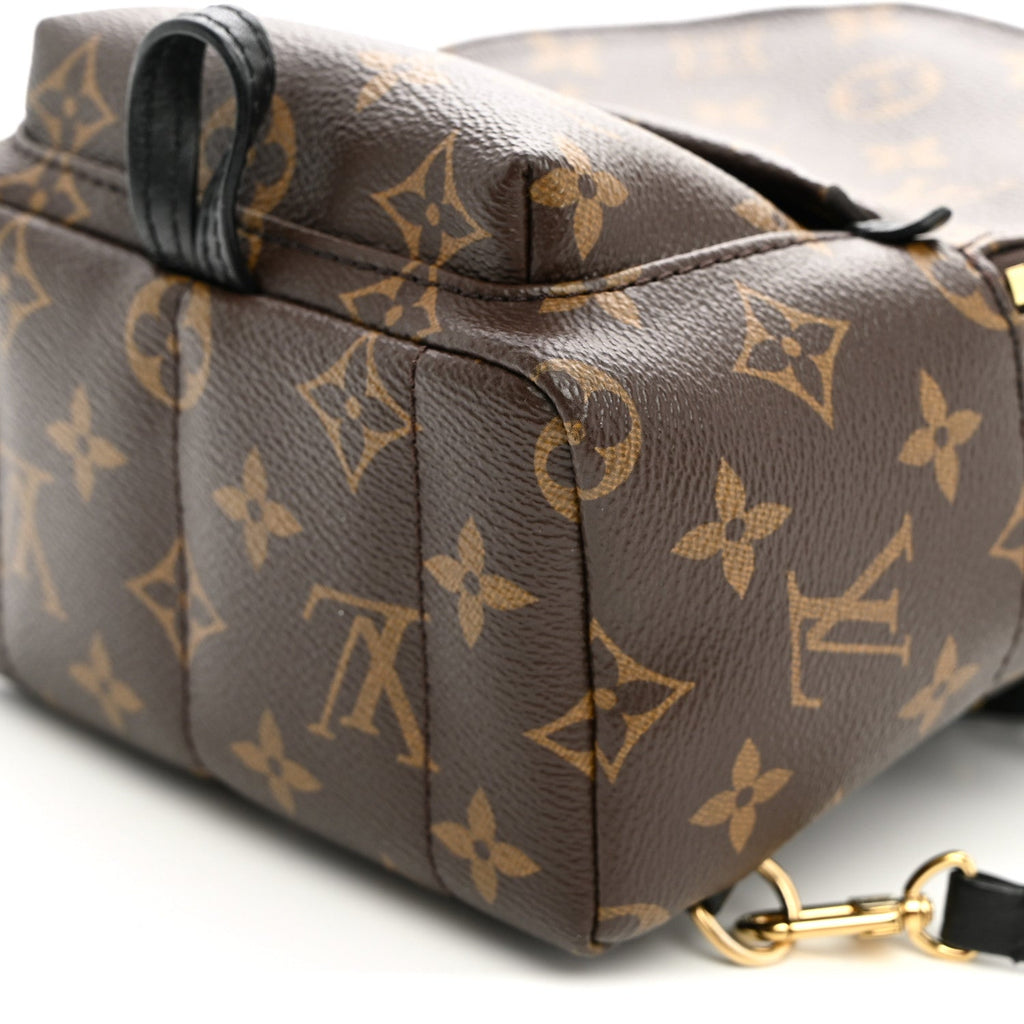 Monogram Palm Springs Backpack Mini £¨ Direct shipment via from wholesalehk.shop