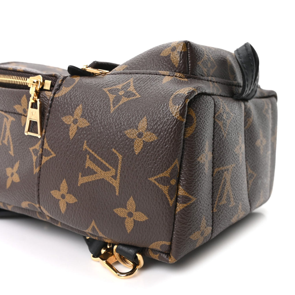Monogram Palm Springs Backpack Mini £¨ Direct shipment via from wholesalehk.shop