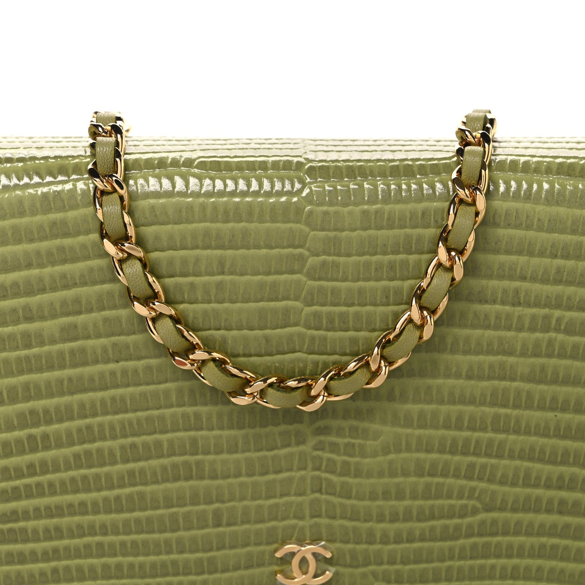 Shiny Lizard Wallet on Chain WOC Green wholesalehk.shop